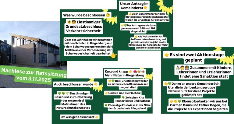 Nachlese zur Gemeinderatssitzung am 3.11. : Einstimmiger Beschluss zur Umsetzung des Schulwegesicherheitskonzeptes und  Naturschutzmaßnahmen