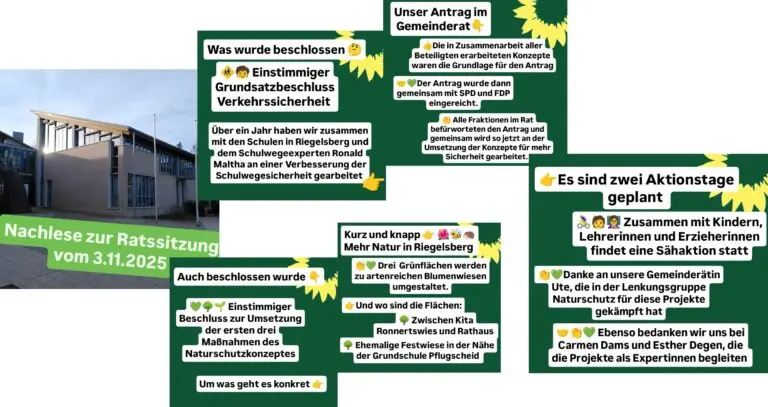 Nachlese zur Gemeinderatssitzung am 3.11. : Einstimmiger Beschluss zur Umsetzung des Schulwegesicherheitskonzeptes und  Naturschutzmaßnahmen