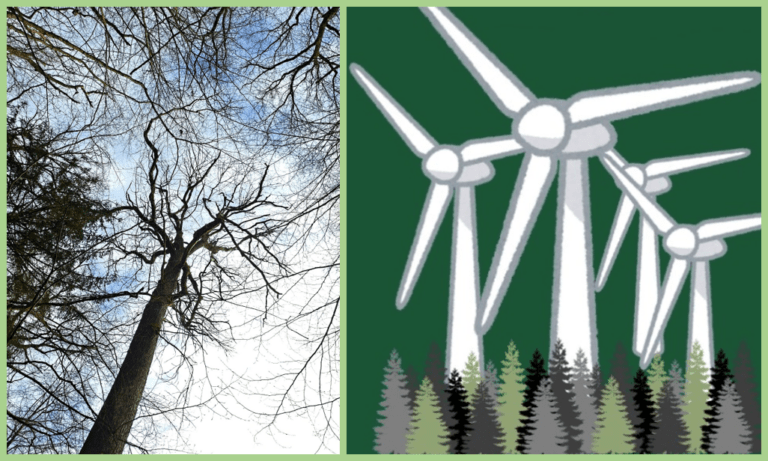 Windkraftanlagen im Fröhner Wald: JA oder NEIN?